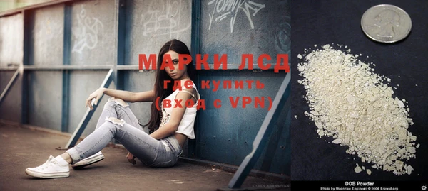 стафф Алзамай
